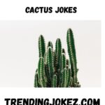 CACTUS JOKES