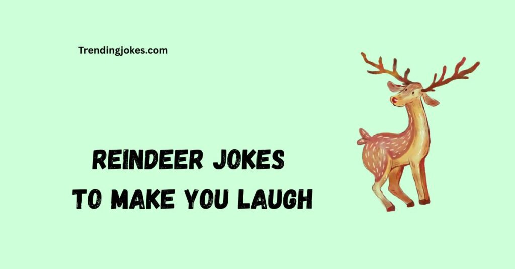 Reindeer Jokes to Make You Laugh