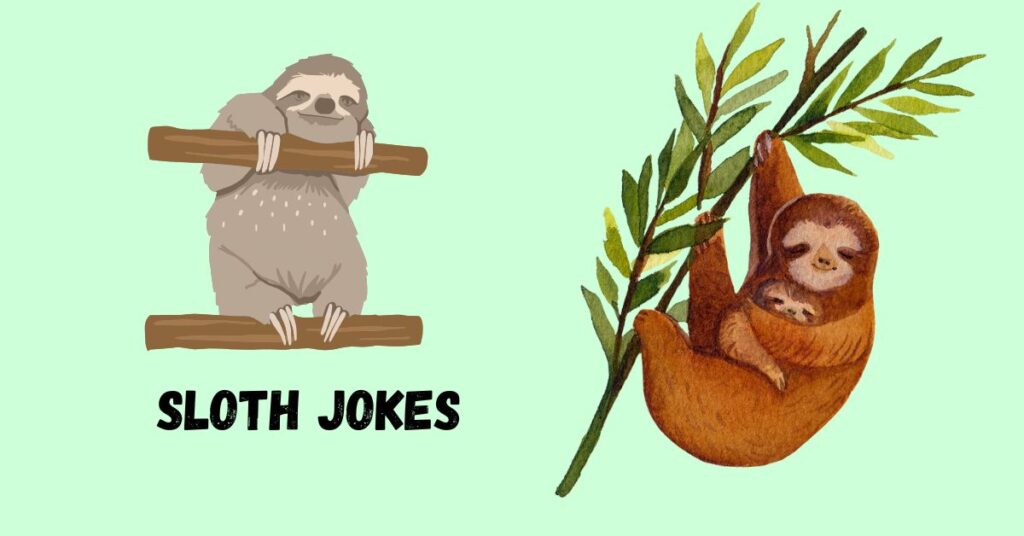 Sloth Jokes