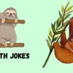 Sloth Jokes